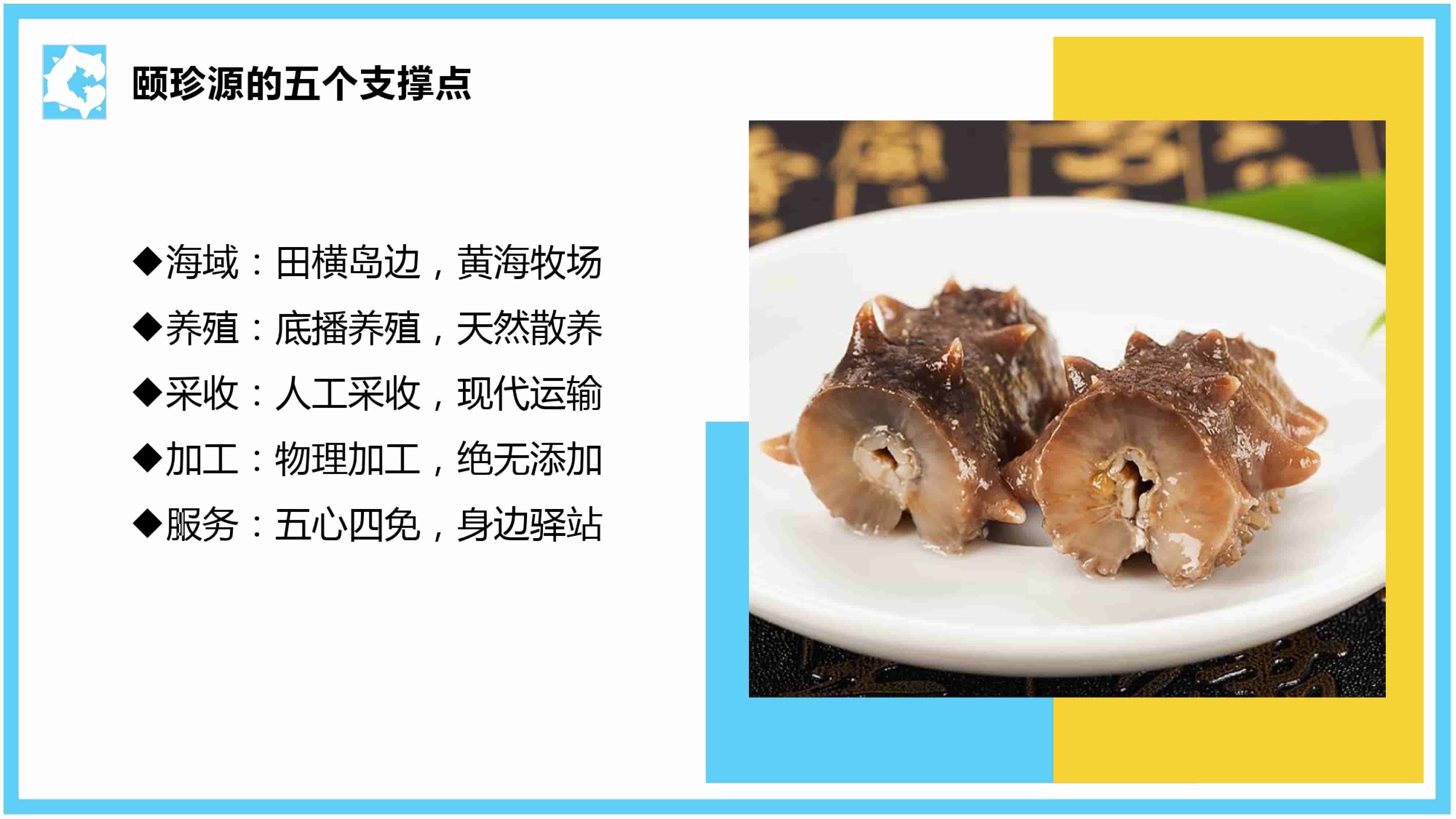 青島品牌策劃公司，青島營銷策劃公司，青島全案策劃公司，青島海參品牌全案策劃案例，青島海參品牌市場研究，青島海參品牌定位研究，青島海參品牌營銷策劃