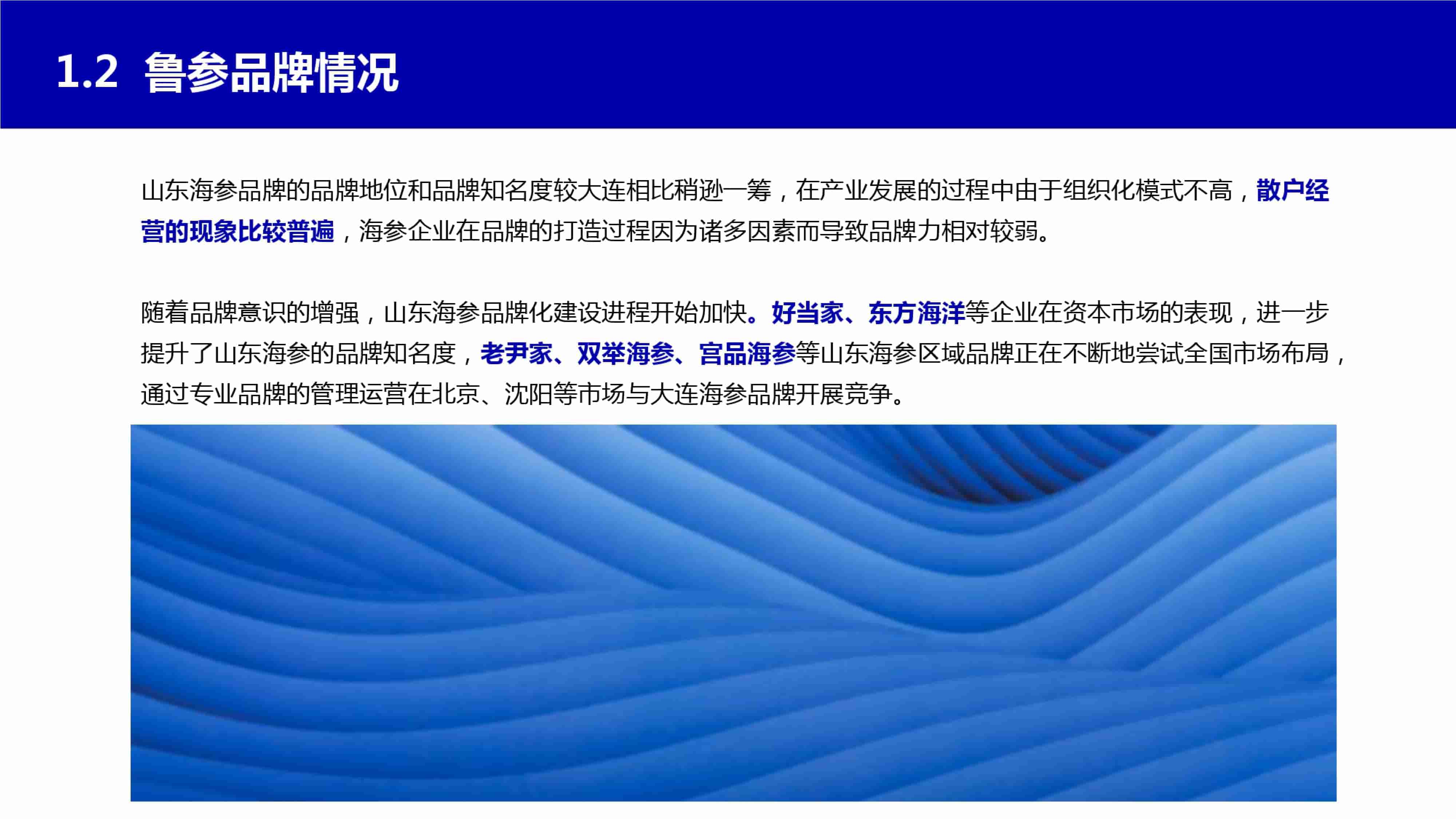 青島品牌策劃公司，青島營銷策劃公司，青島全案策劃公司，青島海參品牌全案策劃案例，青島海參品牌市場研究，青島海參品牌定位研究，青島海參品牌營銷策劃