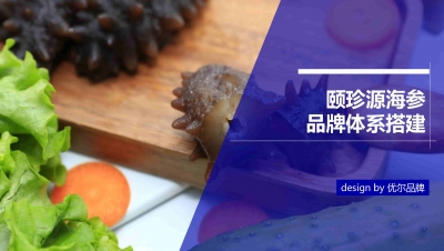 青島品牌策劃公司，青島營銷策劃公司，青島全案策劃公司，青島海參品牌全案策劃案例，青島海參品牌市場研究，青島海參品牌定位研究，青島海參品牌營銷策劃