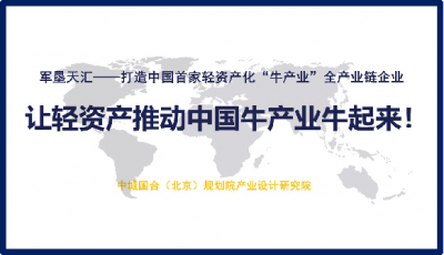 商業計劃書撰寫，商業計劃戰略規劃，項目戰略布局，可行性計劃分析，商業b，青島商業計劃書撰寫,bp,農業項目BP