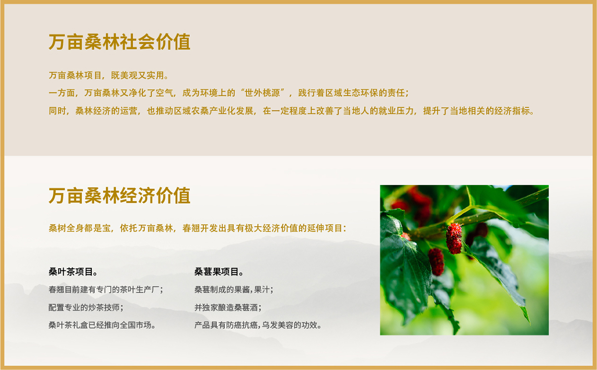 企業畫冊設計,桑葉茶折頁設計,桑葉茶包裝設計,茶包裝設計,企業文化設計,企業文化上墻,企業網站設計,茶葉網站設計