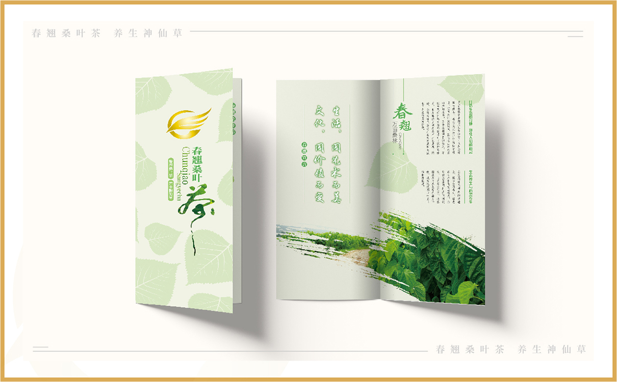 企業畫冊設計,桑葉茶折頁設計,桑葉茶包裝設計,茶包裝設計,企業文化設計,企業文化上墻,企業網站設計,茶葉網站設計