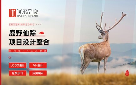 青島設計公司,青島品牌策劃,青島廣告公司